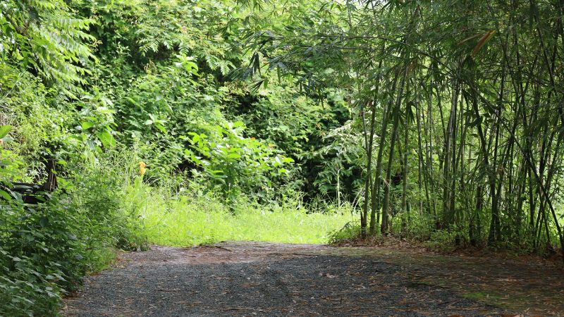 Góc chạm đến thiên nhiên