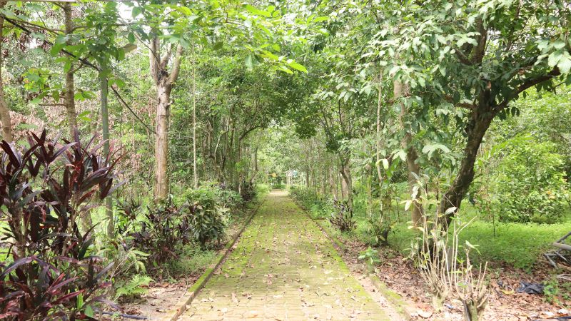 Cảnh quan thiên nhiên tại Kaho