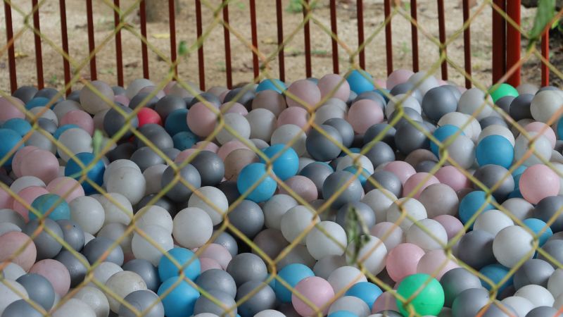 Khu vui chơi trẻ em tại Kaho – Nơi tuổi thơ bắt đầu từ những chuyến đi đáng nhớ